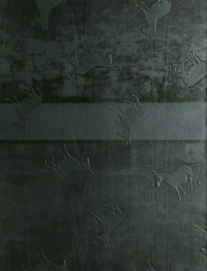 Affan Bagh Patti AG0003