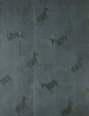 Affan Bagh Patti AG0004