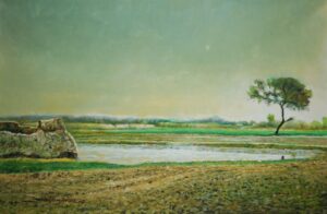 Saleem Ansari AG0125