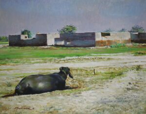 Saleem Ansari AG0124